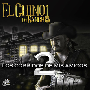 Los Corridos De Mis Amigos 2