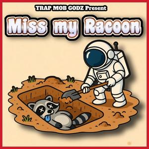 Miss my Raccoon