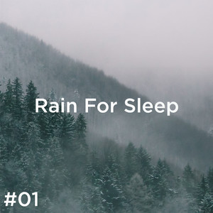 Sleep Rain Sounds