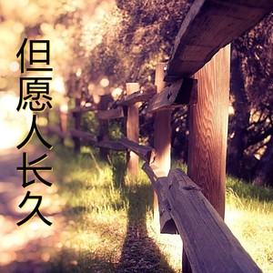 但愿人长久
