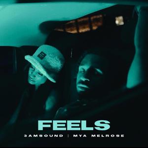 Feels (feat. Mya Melrose)