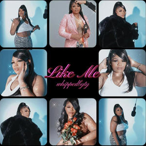 Like Me (Explicit)