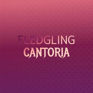 Fledgling Cantoria