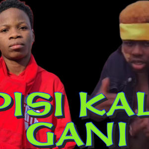 Pisi Kali gani