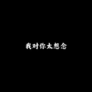 太想念 (最火DJ版)