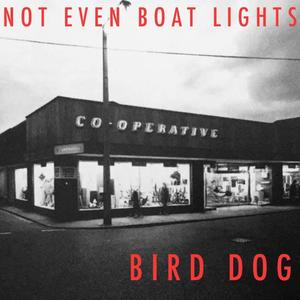 NOT EVEN BOAT LIGHTS (Explicit)