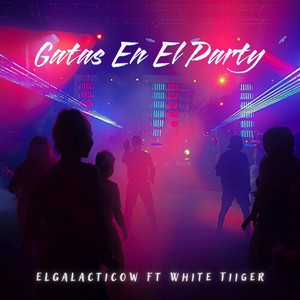 Gatas En El Party (Explicit)