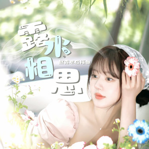 露水相思