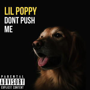 Don't Push Me (Explicit)