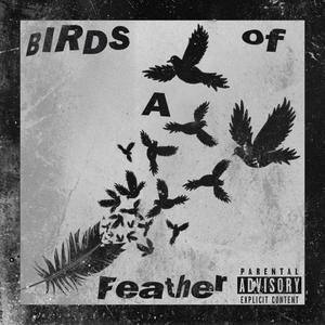 Birds Of A Feather (Explicit)