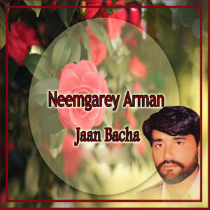 Neemgarey Arman