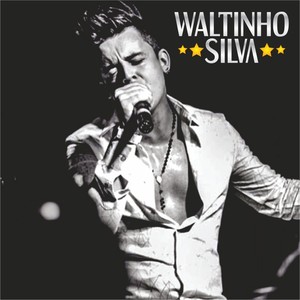 Waltinho Silva