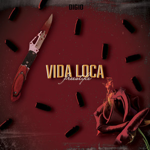 Vida loca freestyle (Explicit)