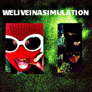 WELIVEINASIMULATION (Explicit)