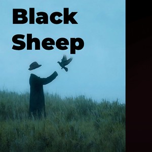 Black Sheep (氛围电吉他版)封面