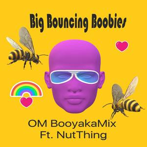 Big Bouncing Boobies (feat. NutThing) (Radio Edit)