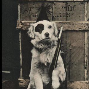 FREE OR DIE (feat. SCRAPPER) (Explicit)