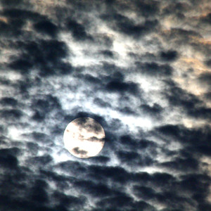 Marcos Farias - São Bernardo