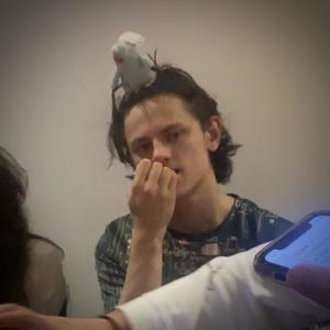 manic and avoidant (Explicit)