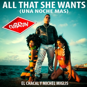 All That She Wants (Una Noche Mas) [DJ Unic Edit]