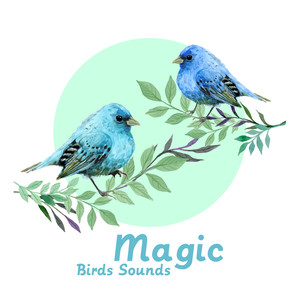 Magic Birds Sounds – Anti-Stress, Calming and Chill, Harmony, Nature, Peaceful and Serene Atmosphere