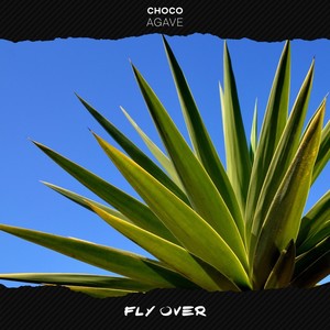 CHOCO - Agave