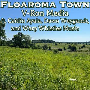 Floaroma Town (COVER版)