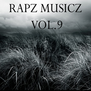 RapZ MusicZ, Vol. 9