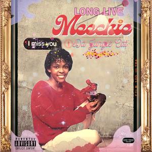 Long Live Meechie (Explicit)