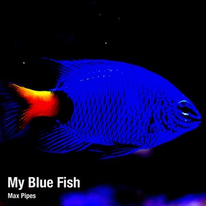 My Blue Fish