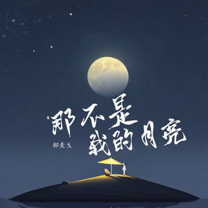 那不是我的月亮