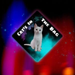 The Cats In The Bag