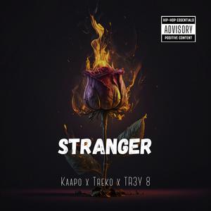 Stranger (feat. TR3Y 8 & Trekooo) (Explicit)