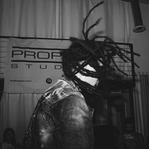 VAMP MUSIK (Explicit)