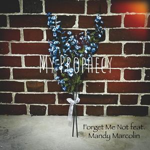 Forget Me Not (feat. Mandy Marcolin)