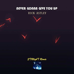 Never Gonna Give You Up (remix:Rick Astley)