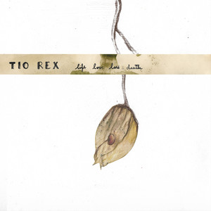 The Art of Collecting Scars