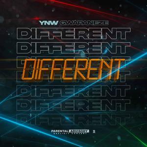 DIFFERENT (Explicit)