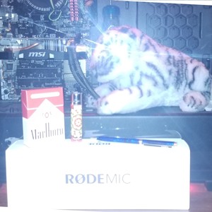 Unnoticed (Explicit)