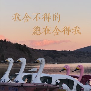 我舍不得的总在舍得我