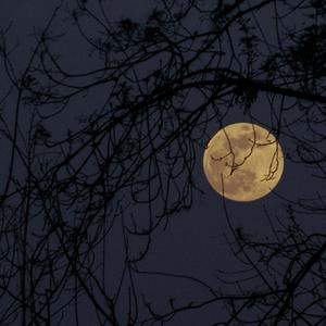 sweet melancholy (Explicit)