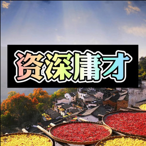 夜空中最亮的星 (动听DJ版)