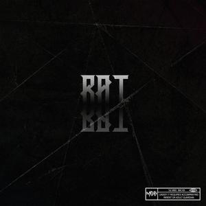 Rat (feat. Ace Paxxo) [Explicit]