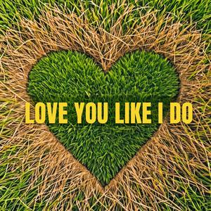 Love You Like I Do