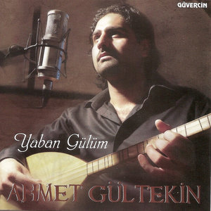 Yaban Gülüm