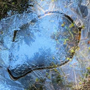 A Close Encounter Of Ice Breaking in Spring