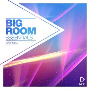 Big Room Essentials, Vol. 4