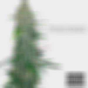 6 Figures (feat. El Manifico) (Explicit)