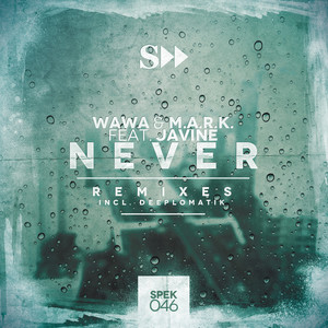 Never (Deeplomatik Dub Remix)