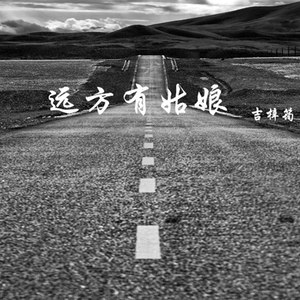 远方有姑娘